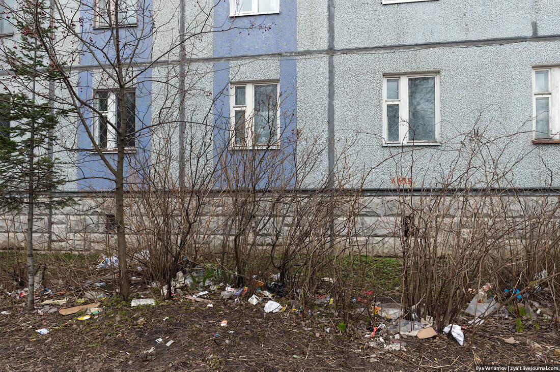 Фото Яндекс Картинки