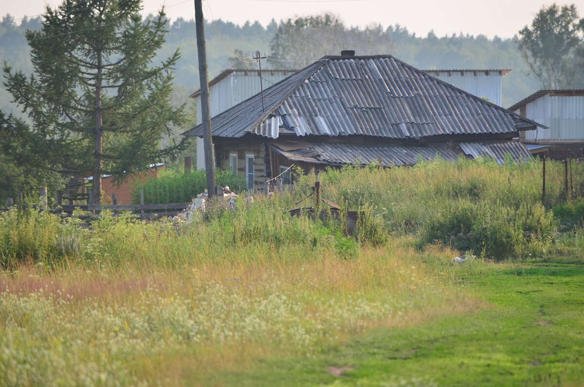 Лето в деревне, жара, комары. Фото автора
