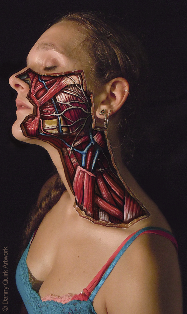 Anatomical Illustrator Danny Quirk. 