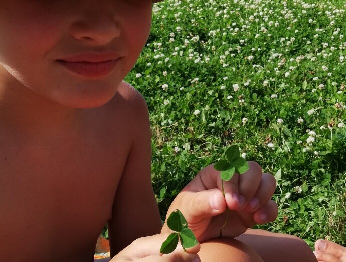 Магический клевер у нас в руках