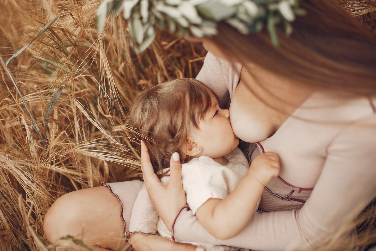 фото: <a href='https://ru.freepik.com/free-photos-vectors/food'>Food фото создан(а) prostooleh - ru.freepik.com</a>