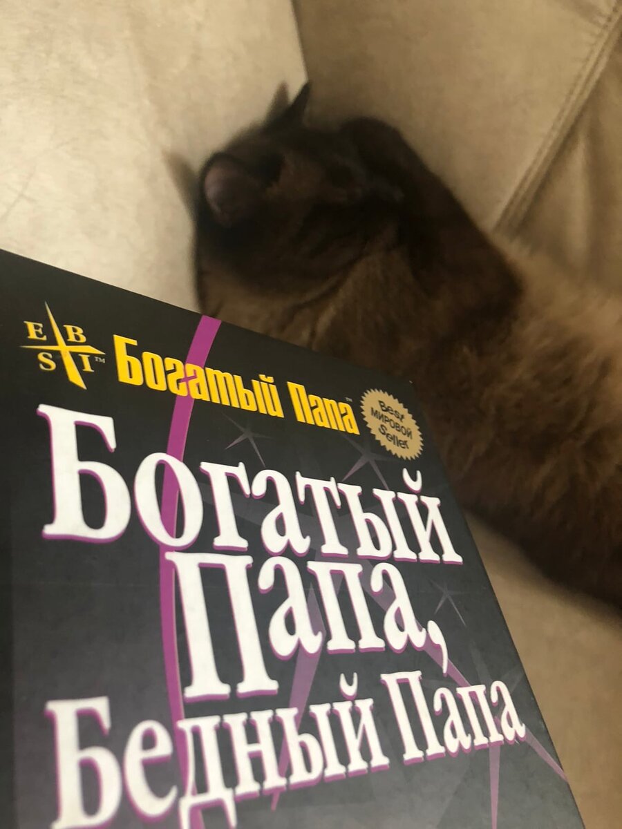 Даже котик скептически отнесся к этой книге