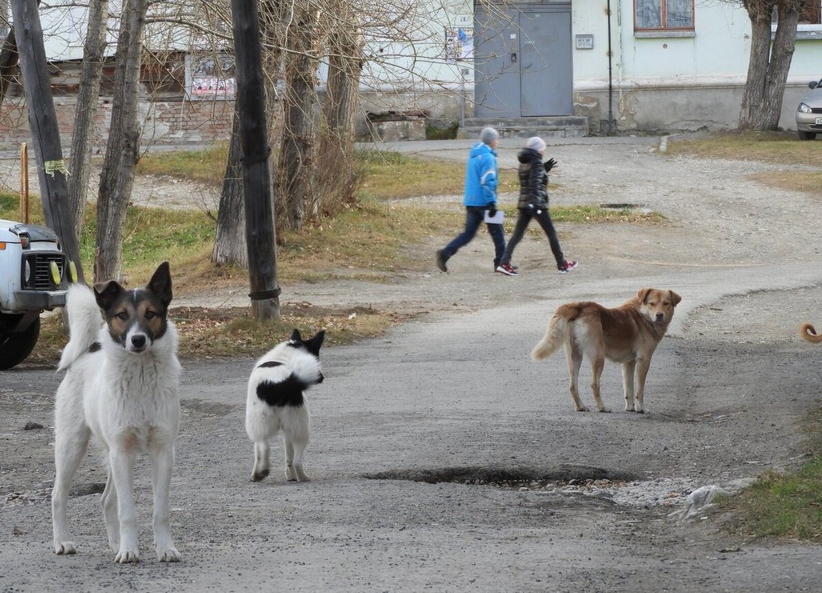 Всякое бывает