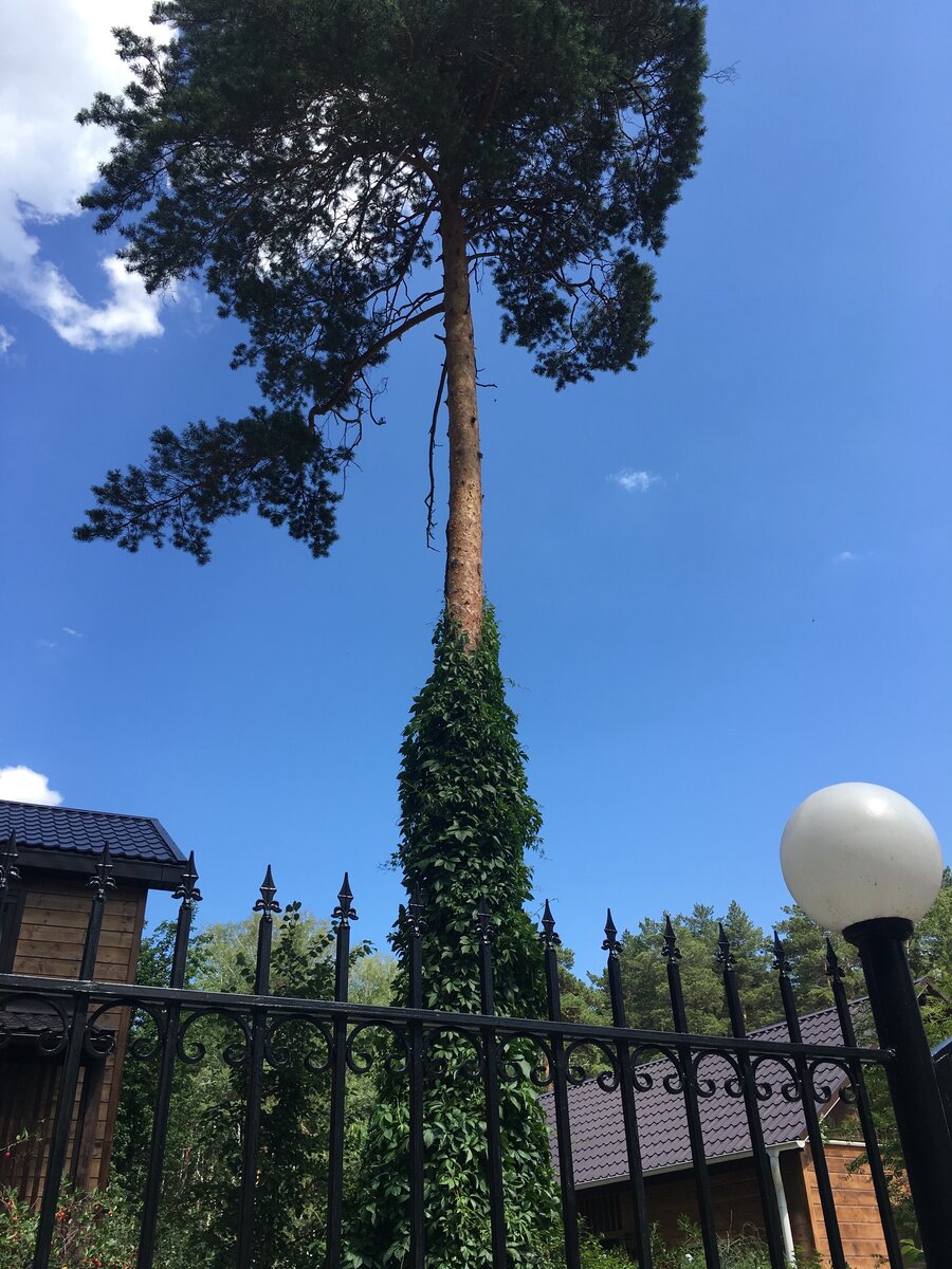 На улoчках ЗАТО Озёрск 