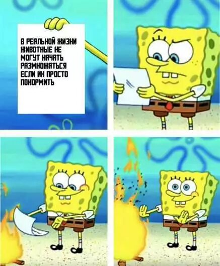 Не правда!