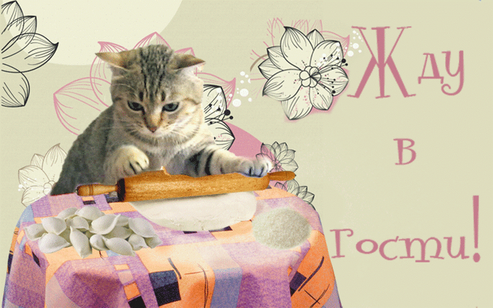 фото  из  свободного  доступа