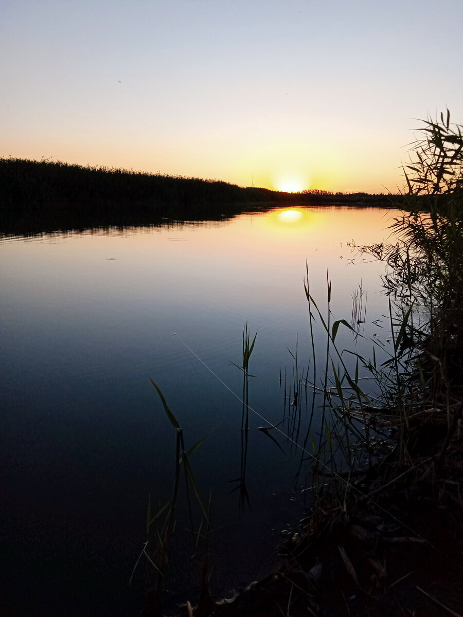 Закат солнца на диком пруду. Фото автора.