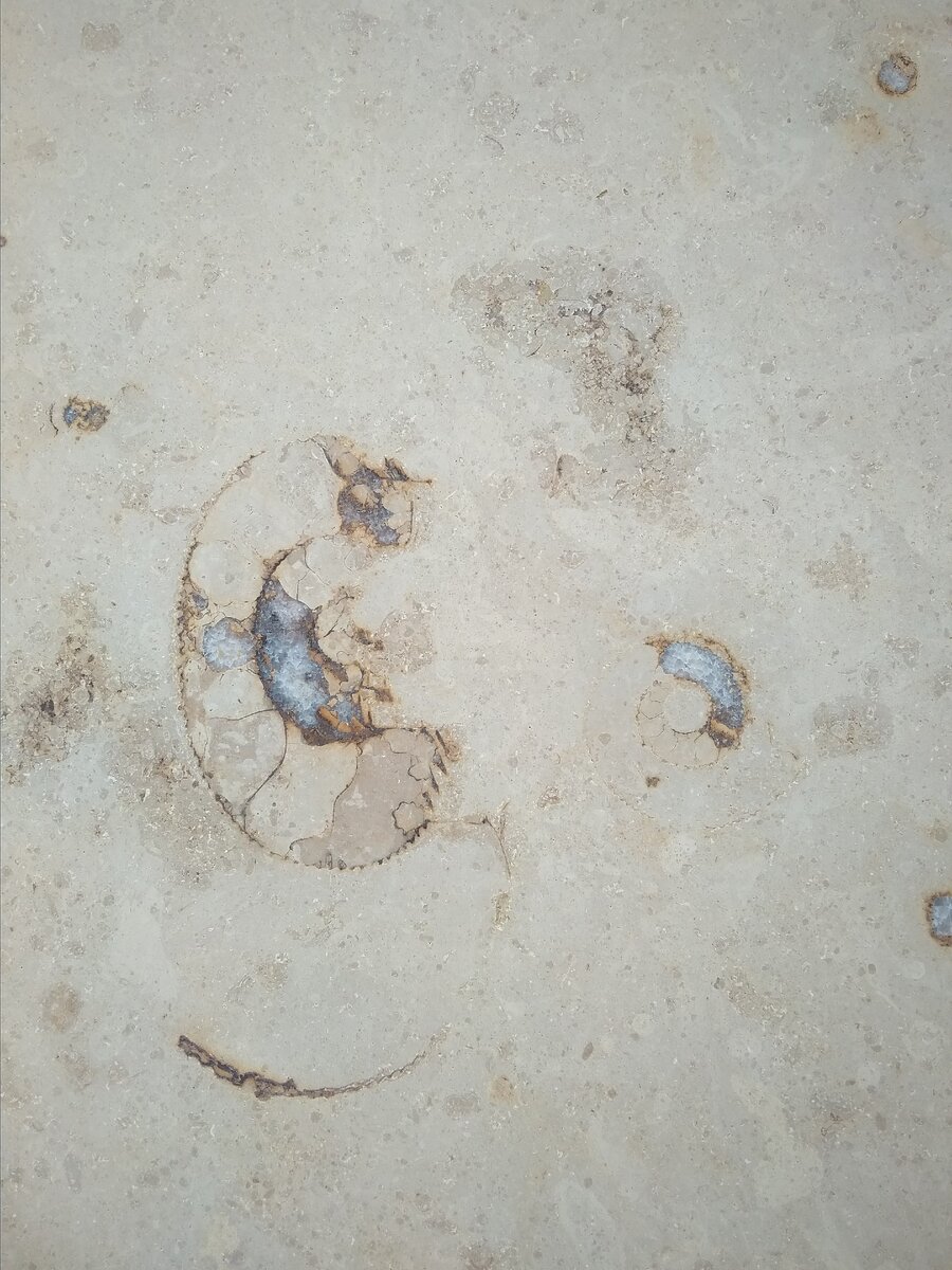 Фото 2.