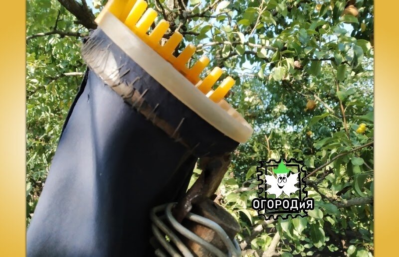 Плодосъемник