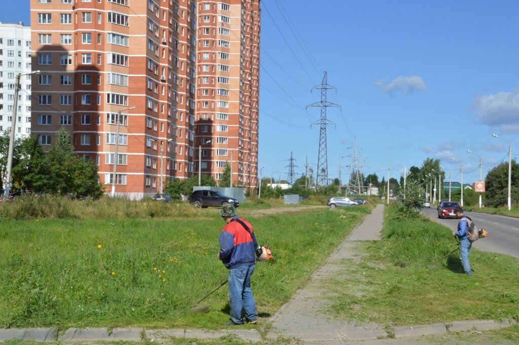 В Твери облагораживают зеленые зоны