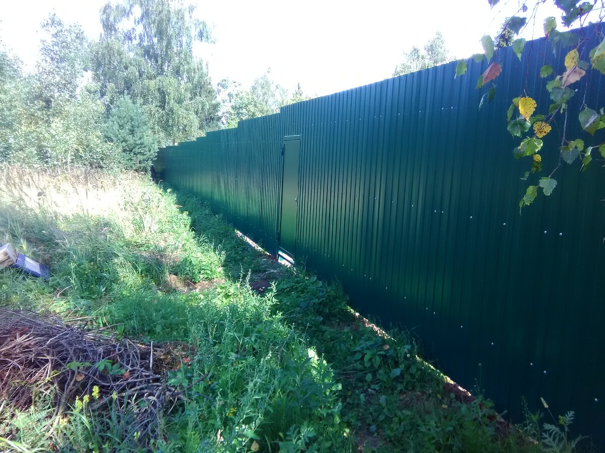 Западная сторона забора, калитка в " никуда". Видимо, нужна для пожарной безопасности...