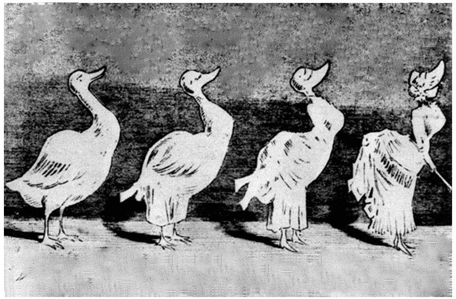 Карикатура из журнала «Ульк» (Ulk). Берлин, 1883 г. Пособие по генеалогии: Развитие турнюра. 