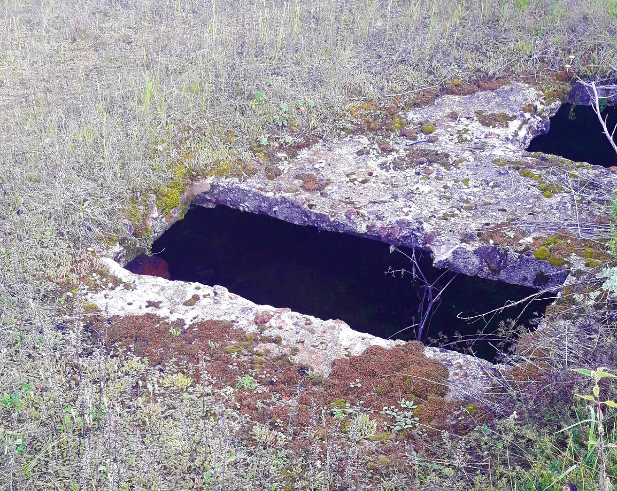 Пошли за грибами, а нашли заброшенное сооружение под землей, да и вообще место странное, деревья растут необычно,…