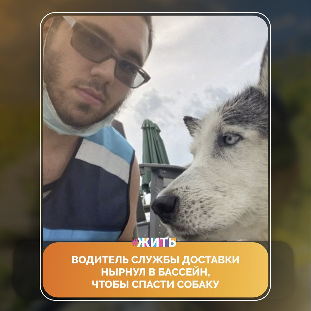 Водитель службы доставки нырнул в бассейн, чтобы спасти 14-летнего хаски. Парень, заметив еле видневшуюся морду пса над водой, тут же, долго не думая, бросился на помощь💪 
Был обычный рабочий день. Парень, выкладывая посылки, увидел, как морда старого 14-летнего пса породы хаски покачивается над водой в бассейне одного из домов. Перепрыгнув через садовую ограду, он в спешке нырнул в бассейн и вытащил собаку из воды🙌

Владельцам пса, которые отправились на отдых, оставив питомца дома одного, позвонили из службы охраны животных и сообщили, что водитель службы доставки спас их собаку🤗

Вот он - настоящий герой!

#жить #проектжить
