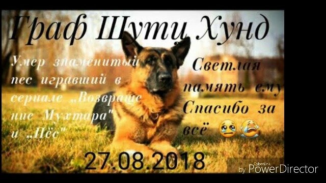 картинка из интернета