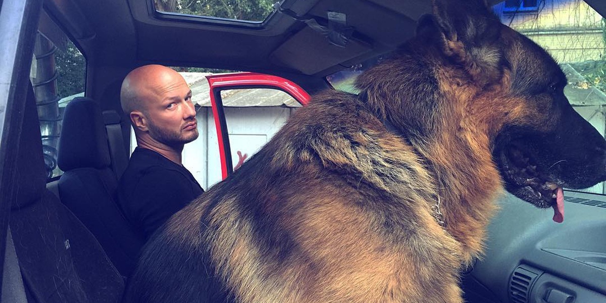 Никита Панфилов в сериале пёс 