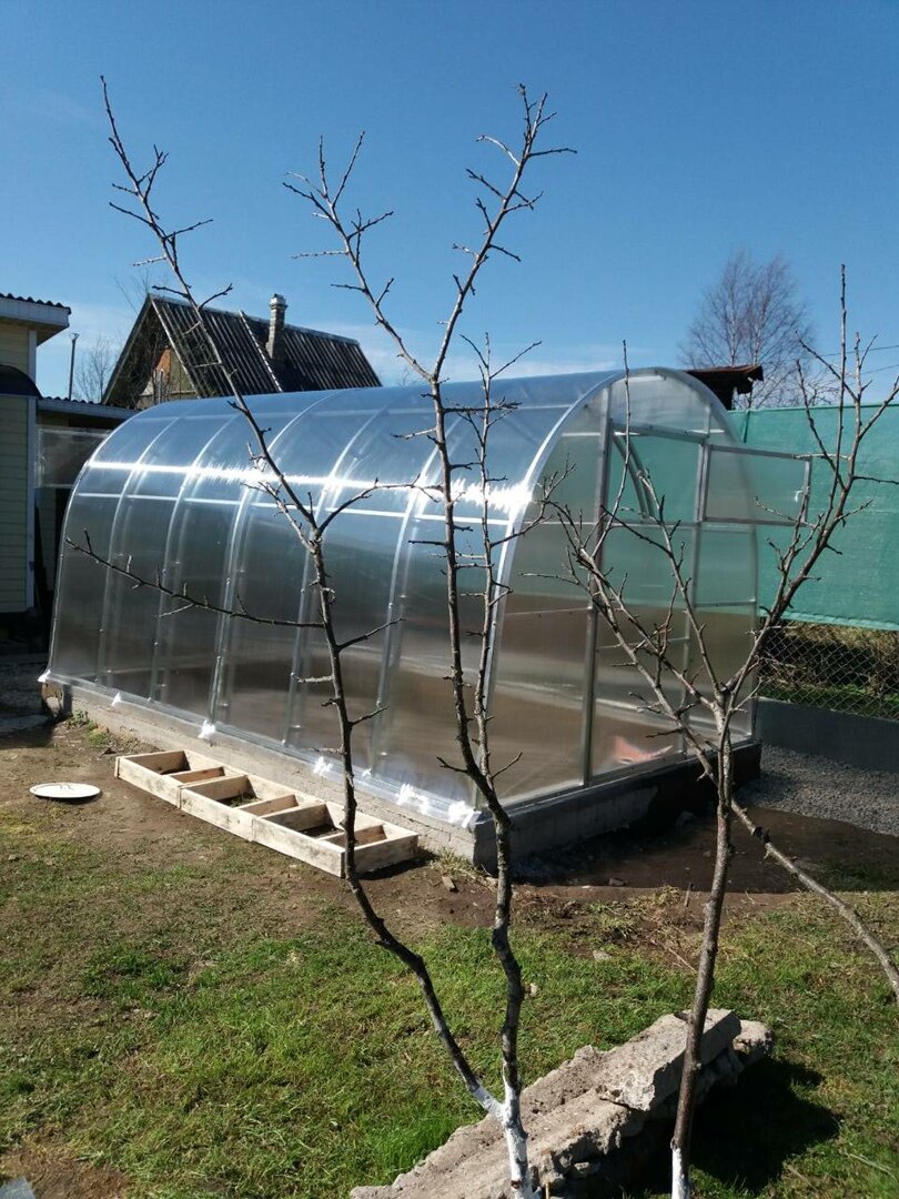 Обычная новая теплица. А сколько хорошего нас вместе с ней  ждёт впереди! Фото автора