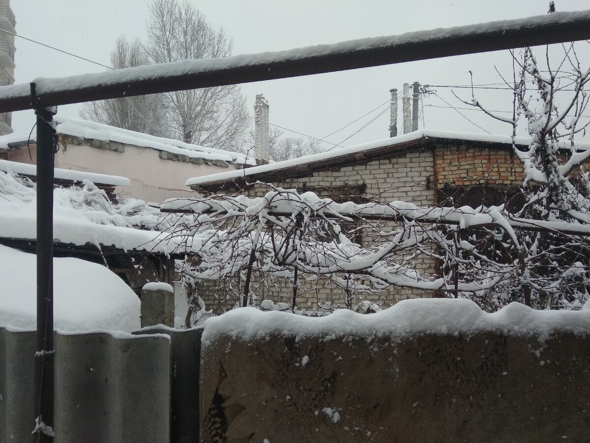 Все за снежило и  замело