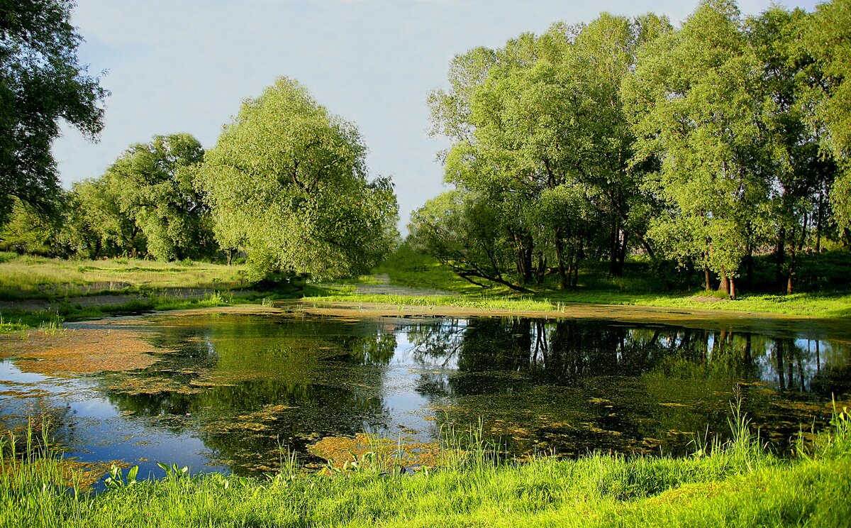 Фотография, стихотворение Василия Глуцкого