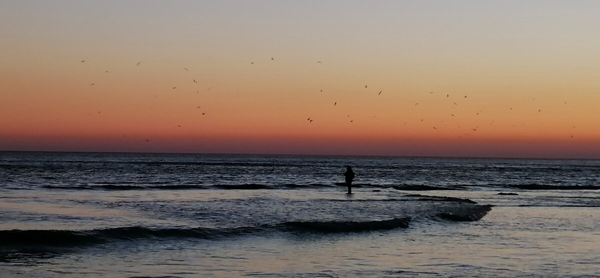 Фото сделано мной .Обратите внимание, сколько птиц кружится над одиноким рыбаком.