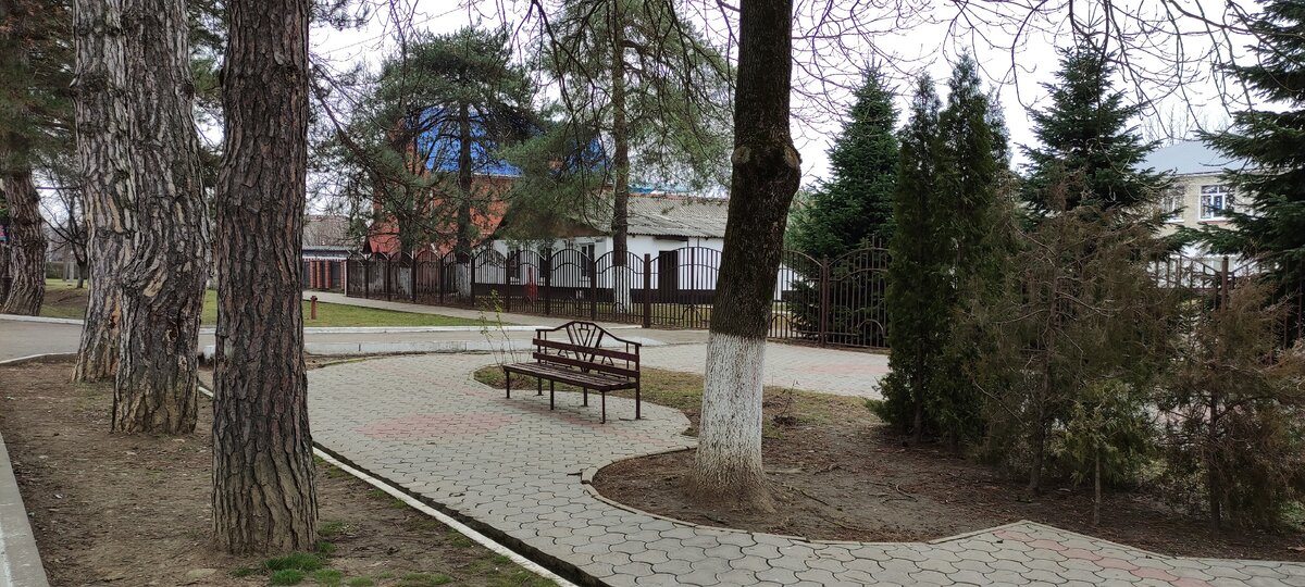 аллея Тысячи сосен