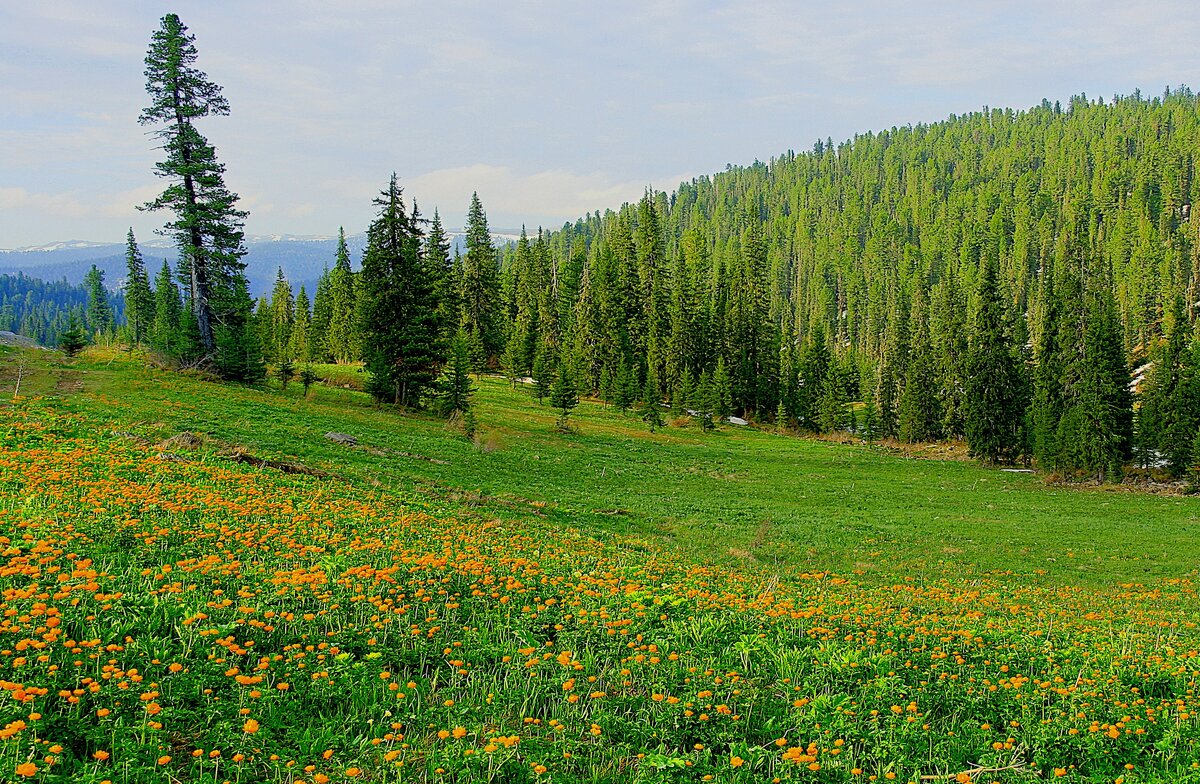 Фотография,стихотворение Василия Глуцкого