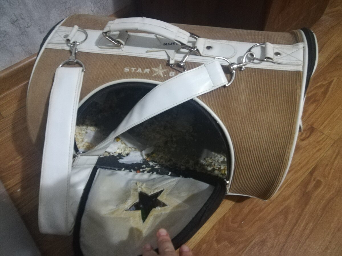 Переноска после поездки