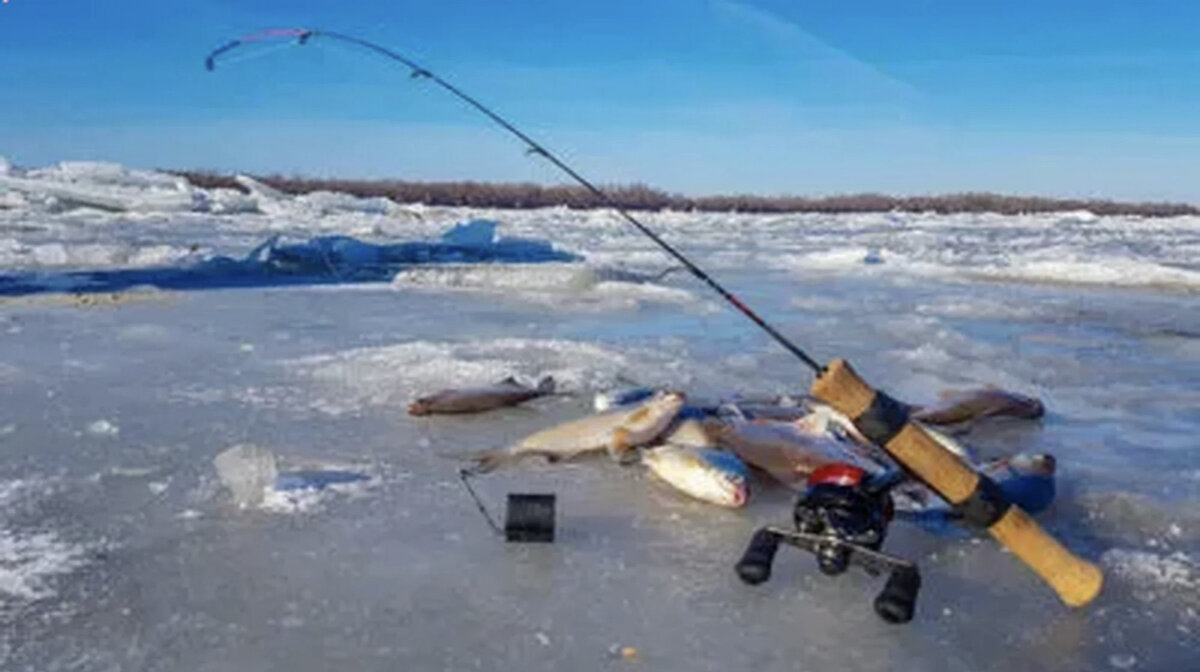 Фото из инета