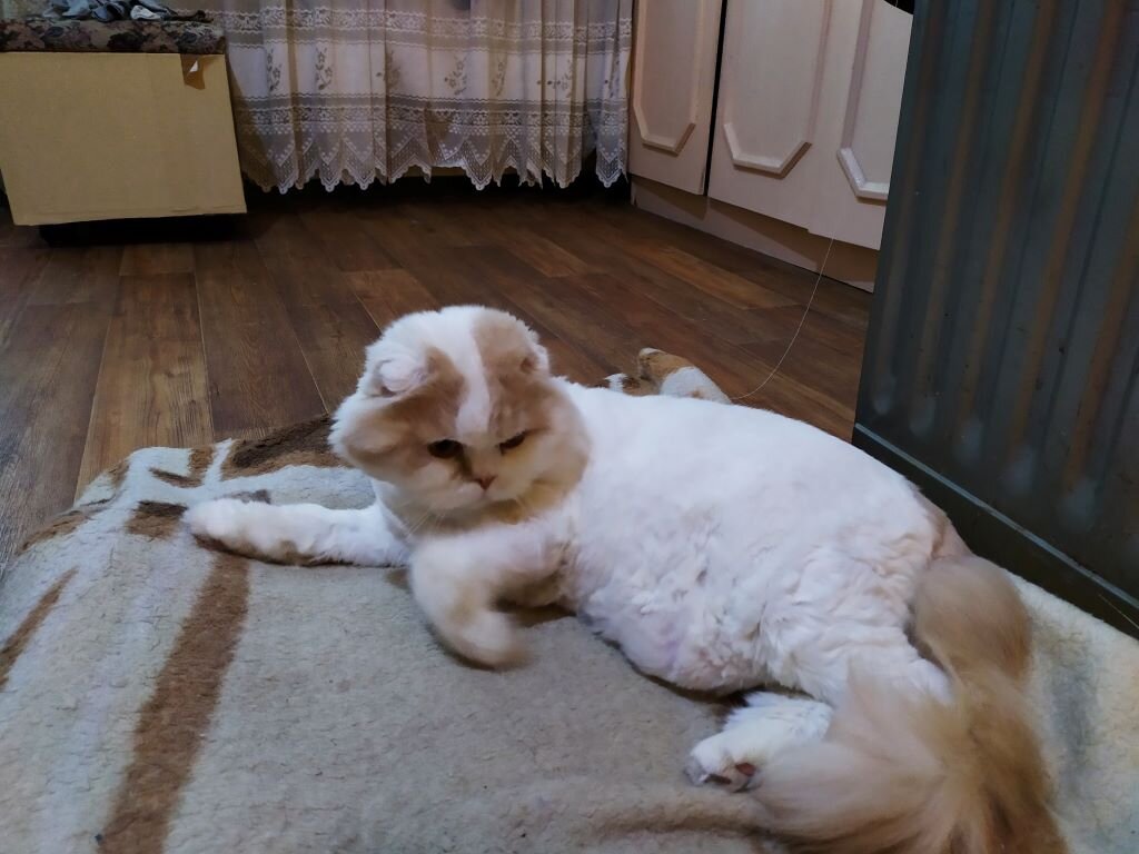 Ваньке холодно, шубка коротковата)