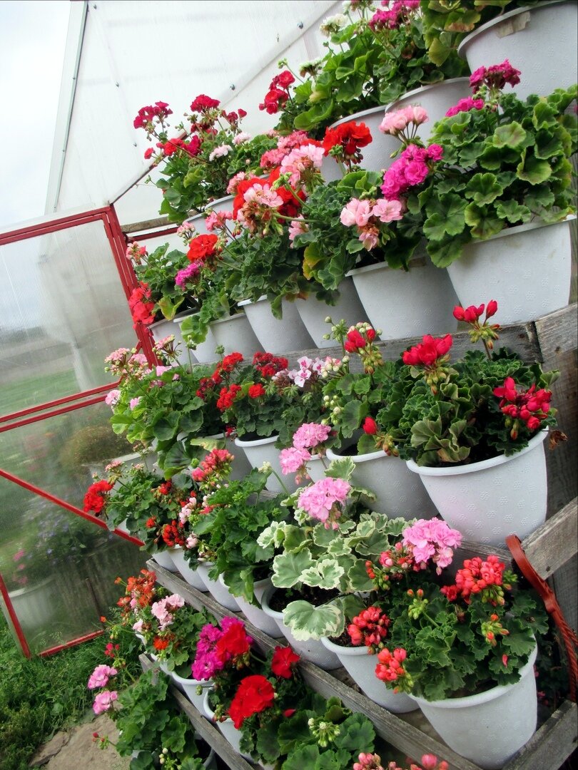 стенка - лесенка вид с боку (фото мое)