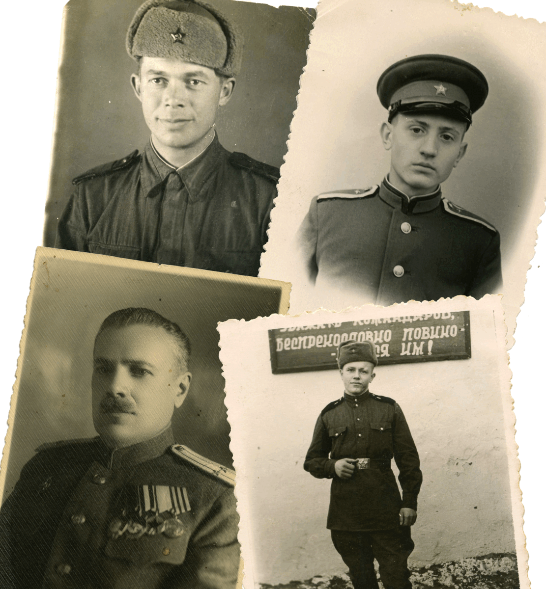 проект Тульский Коллекционер, 2019-2021 