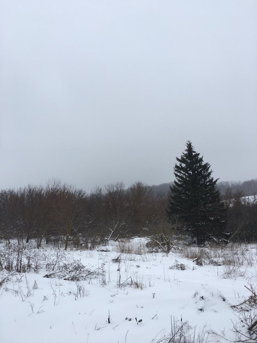 ЗИМОЙ ЗДЕСЬ КАК ТО МРАЧНО