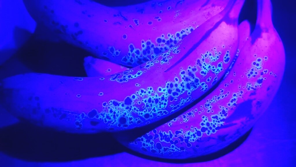 Бананы под воздействием ультрафиолетового излучения