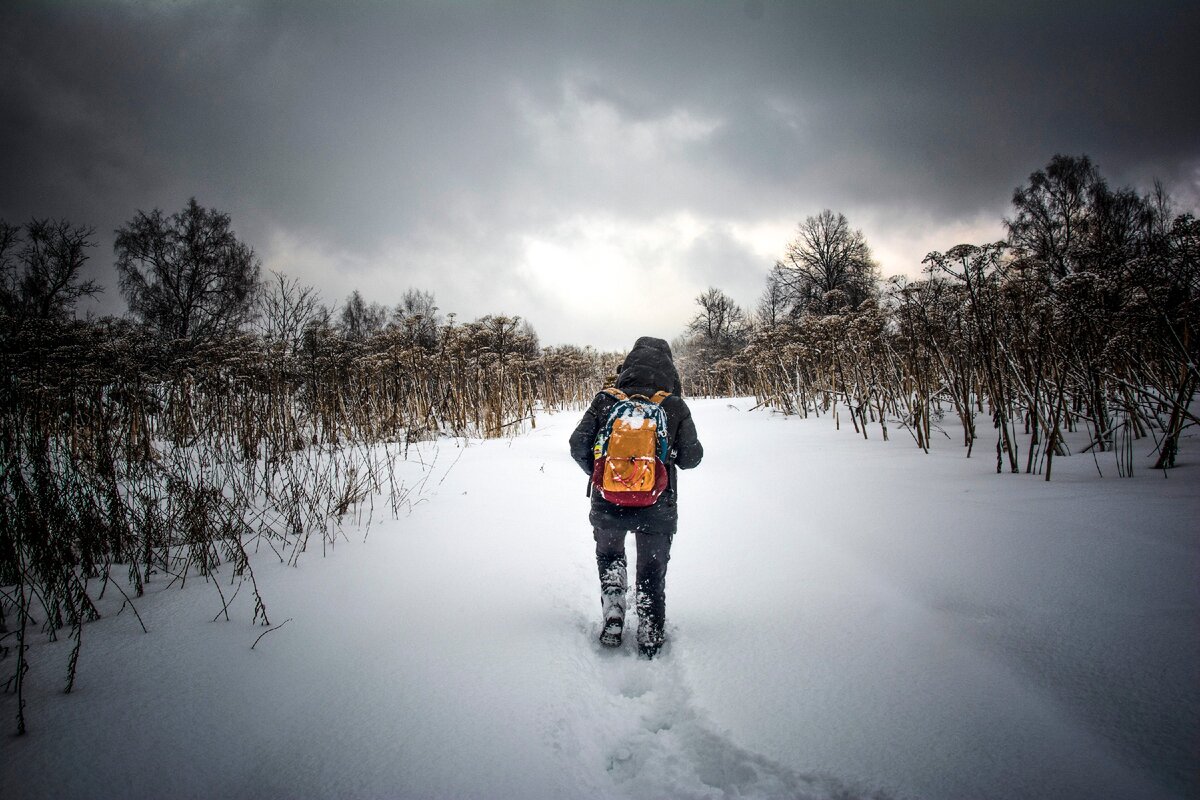 фотографии автора канала