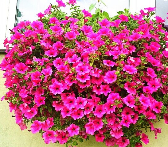 Ставьте "лайки" и подписывайтесь на мой канала!