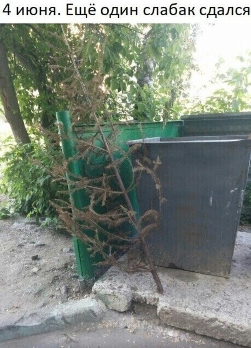 Фото из интернета