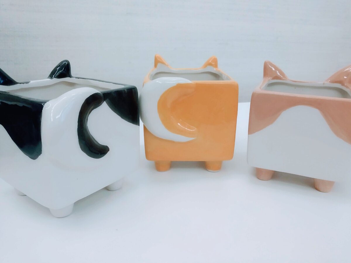 Керамические горшки для кактусов