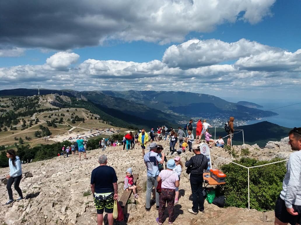 1200 Летний тис на ай Петри