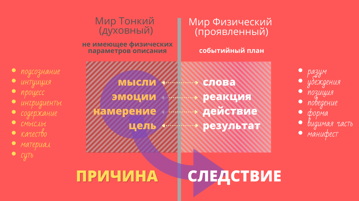 Условная схема деления нашего мира на  Тонкий и Физический.