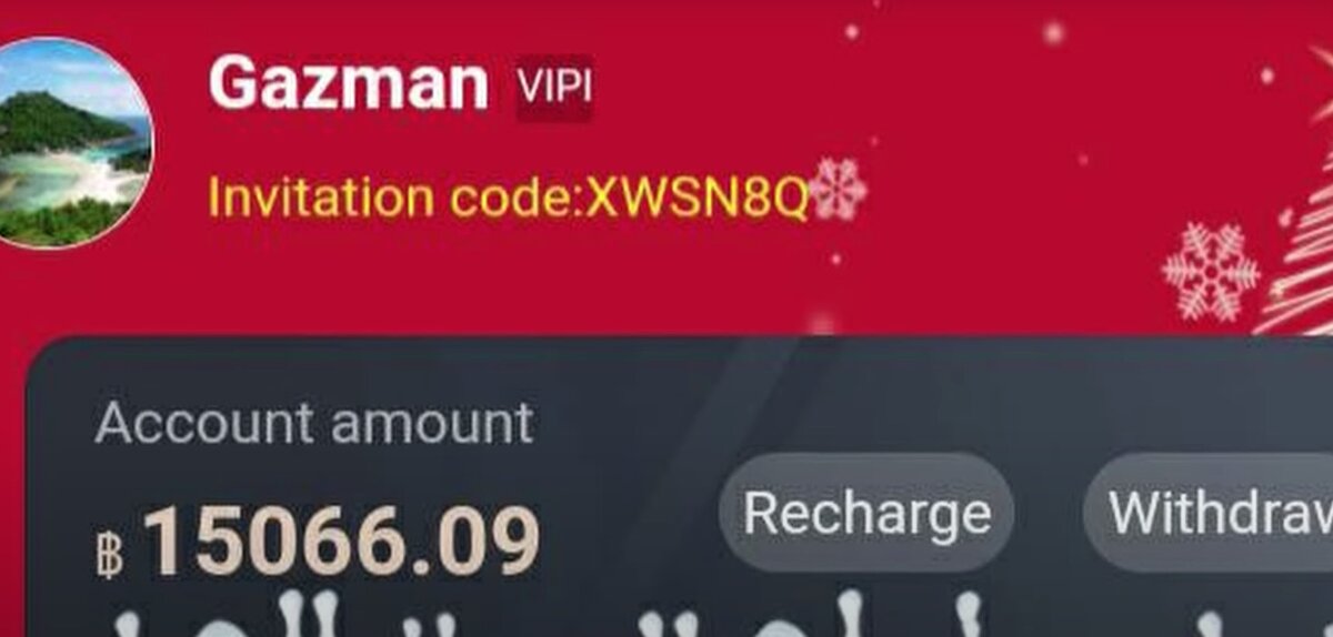 15066 батов - обещанная прибыль и инвестиции одного из пользователей. Деньги конечно же сгорели.