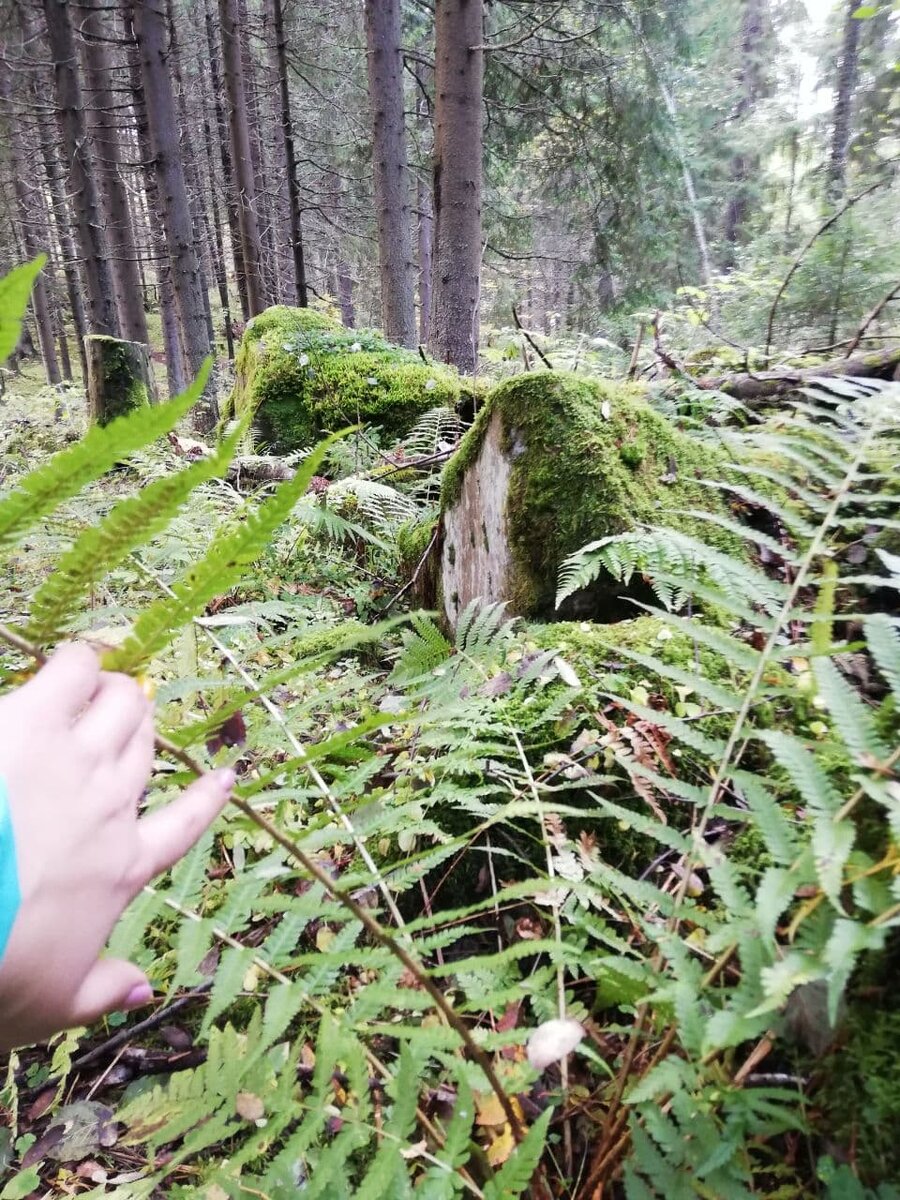 это я, начинаю познавать и изучать Дзен.