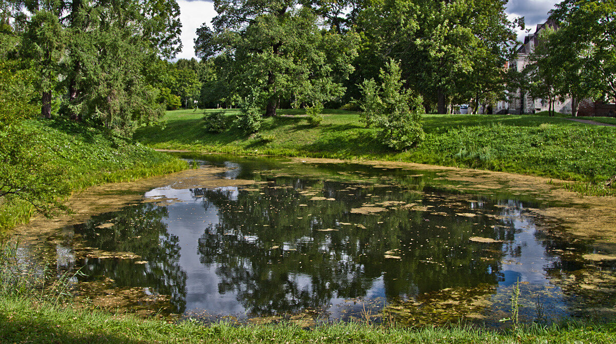 Фото из интернета для иллюстрации