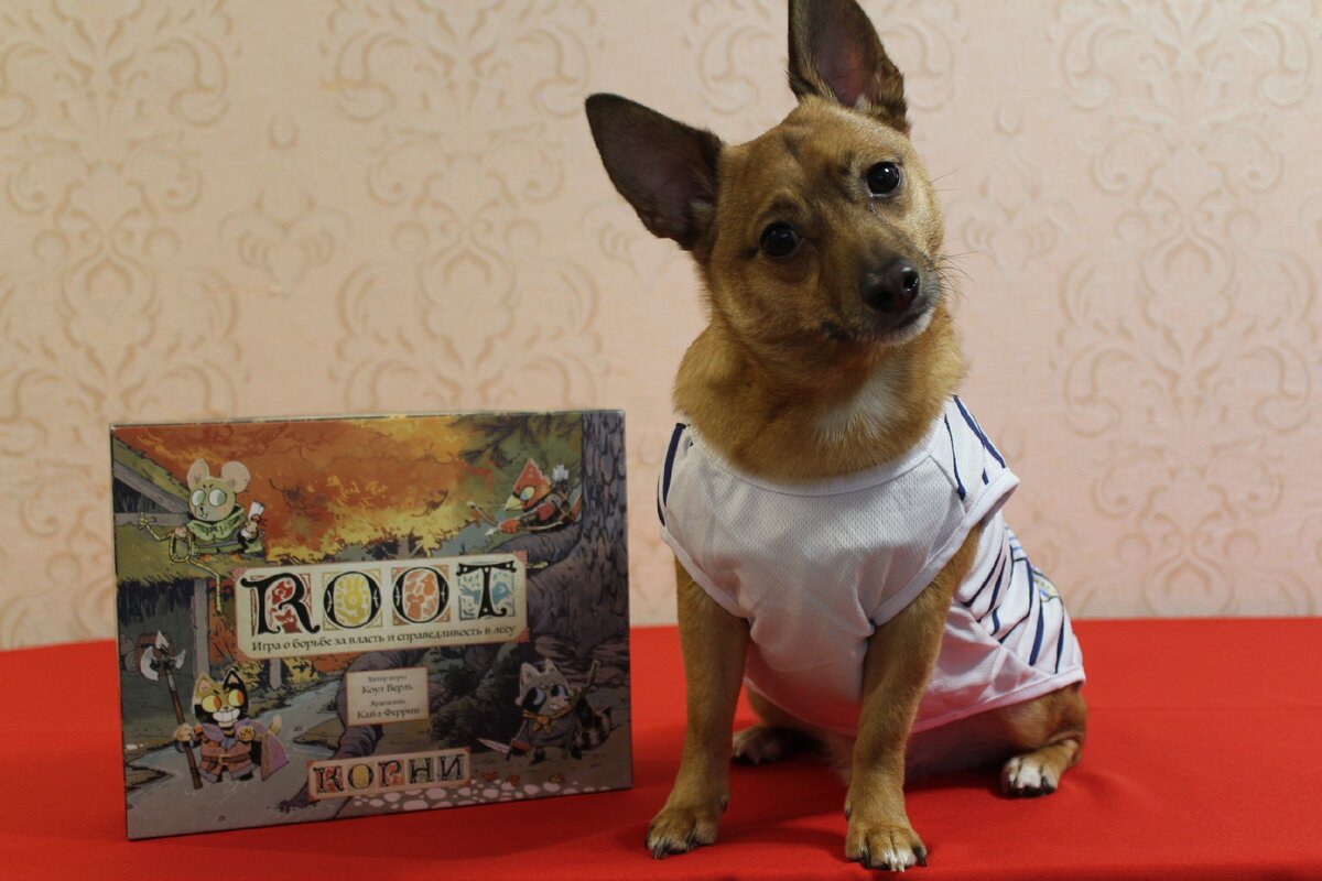 Потомок Бродяги Чи