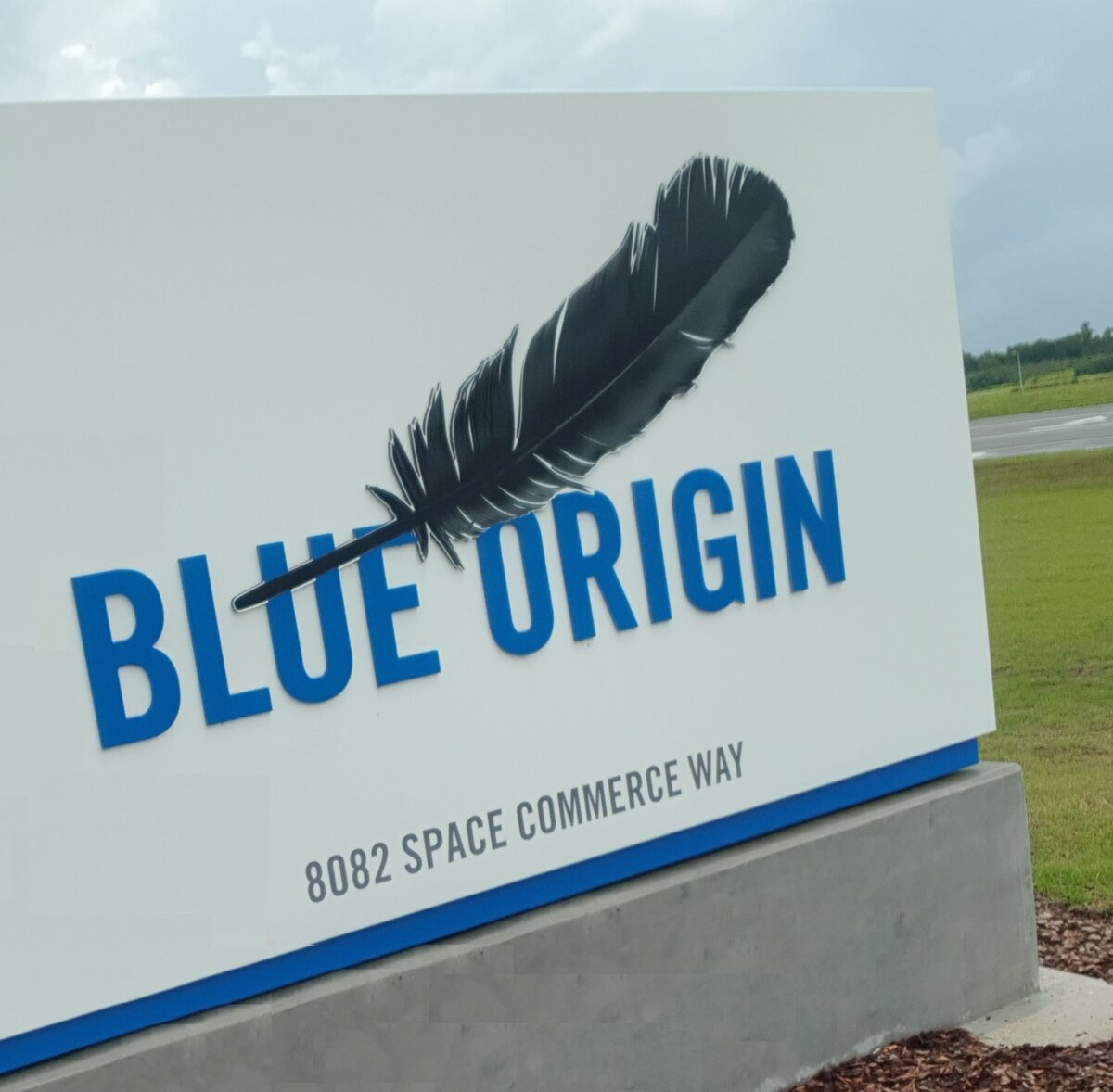 Фото мистера Гуся.