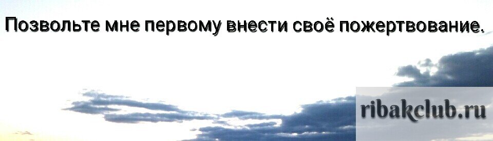 Ружья для рыбалки. Подводная охота с ружьём, как правильно выбрать.