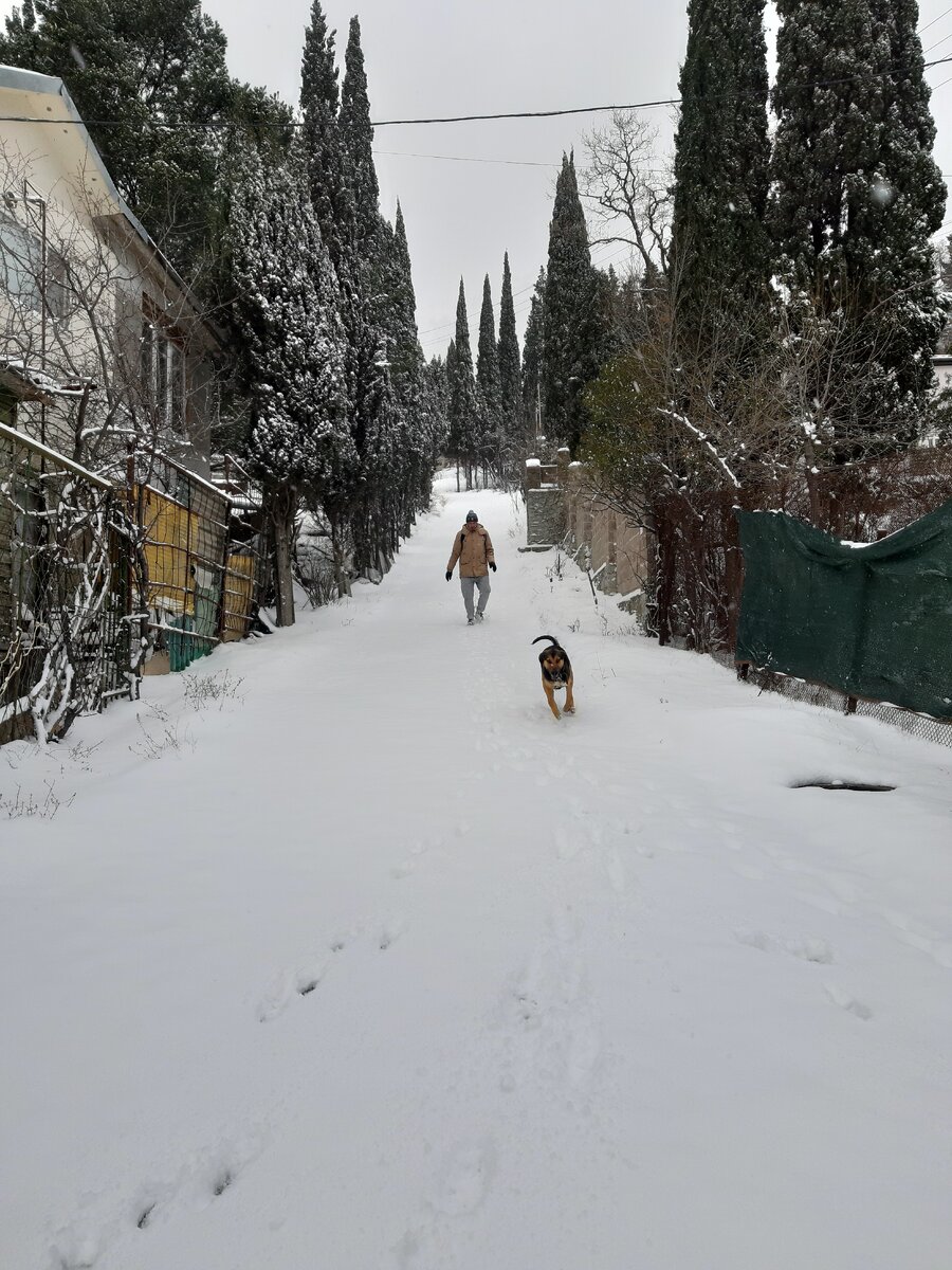 Спуск к нашему дому, на фото он выглядит не таким крутым как на самом деле))