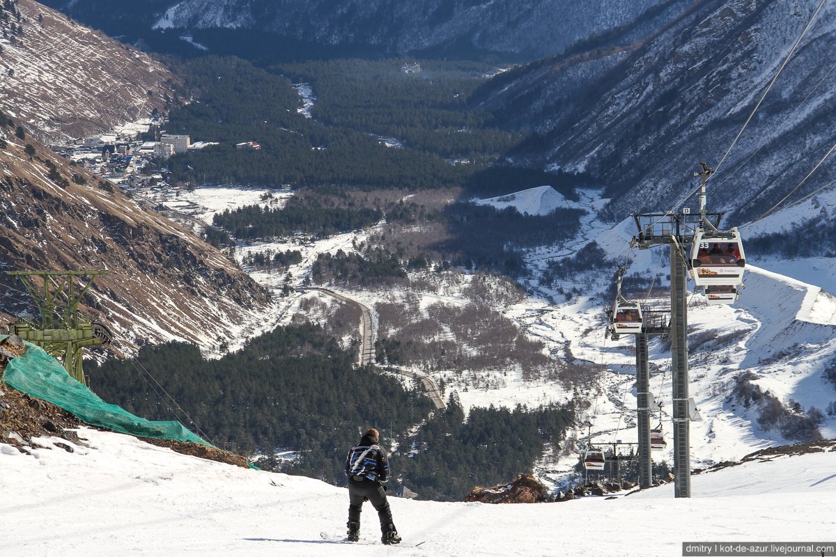 источник :https://pbs.twimg.com/media/DY0SbE9XcAADpIU.jpg