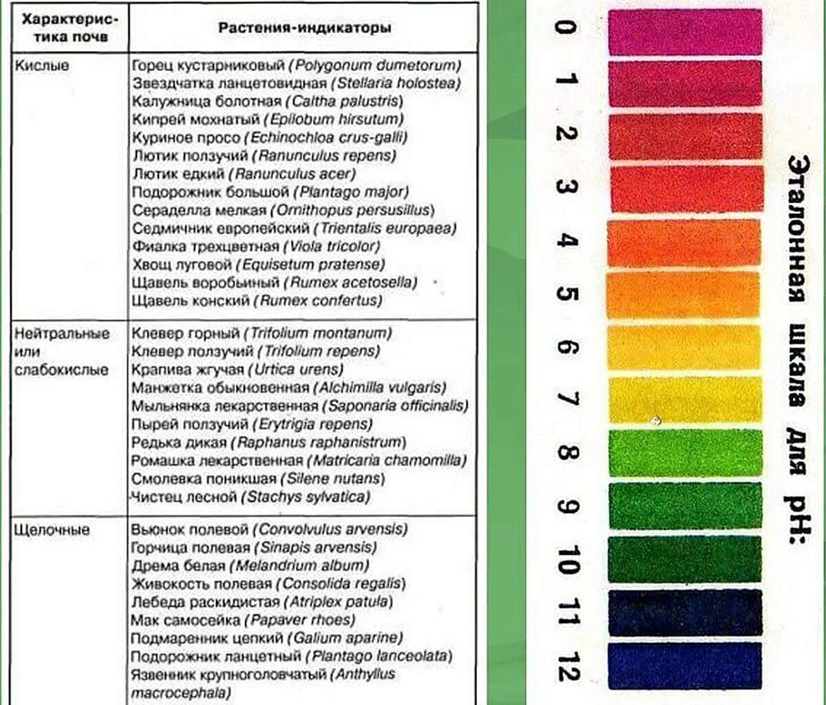 Кислотность грунта почвы