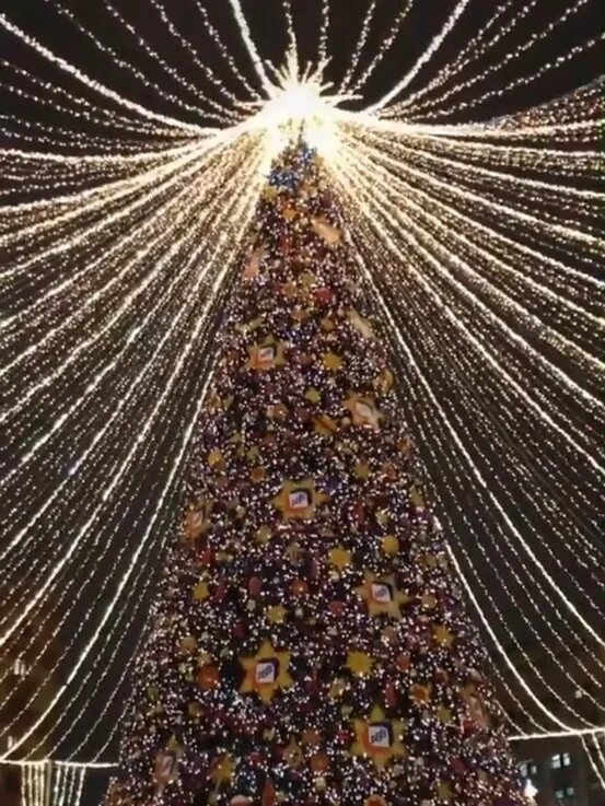 Традиционная елка на манежной площади