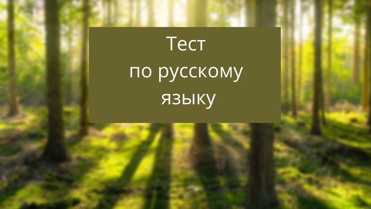 здесь и далее коллаж автора